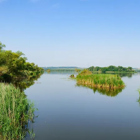 Prázdninový dům Holiday Home Balatonbereny - Balaton 18099 *