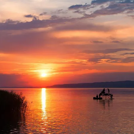 Holiday Home Balatonbereny - Balaton 18099 Prázdninový dům *